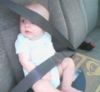 parenting safety belt.png