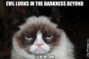 Grumpy cat1.jpg
