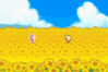 mother3sunflowerfields.png