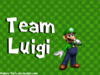 team-luigi.png