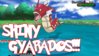 Shiny Gyarados.jpg