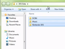 Nintendo 3DS Folders Highlighted in Windows 7