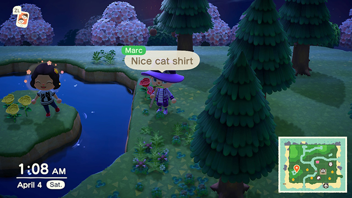 Live text chatting in Animal Crossing: New Horizons