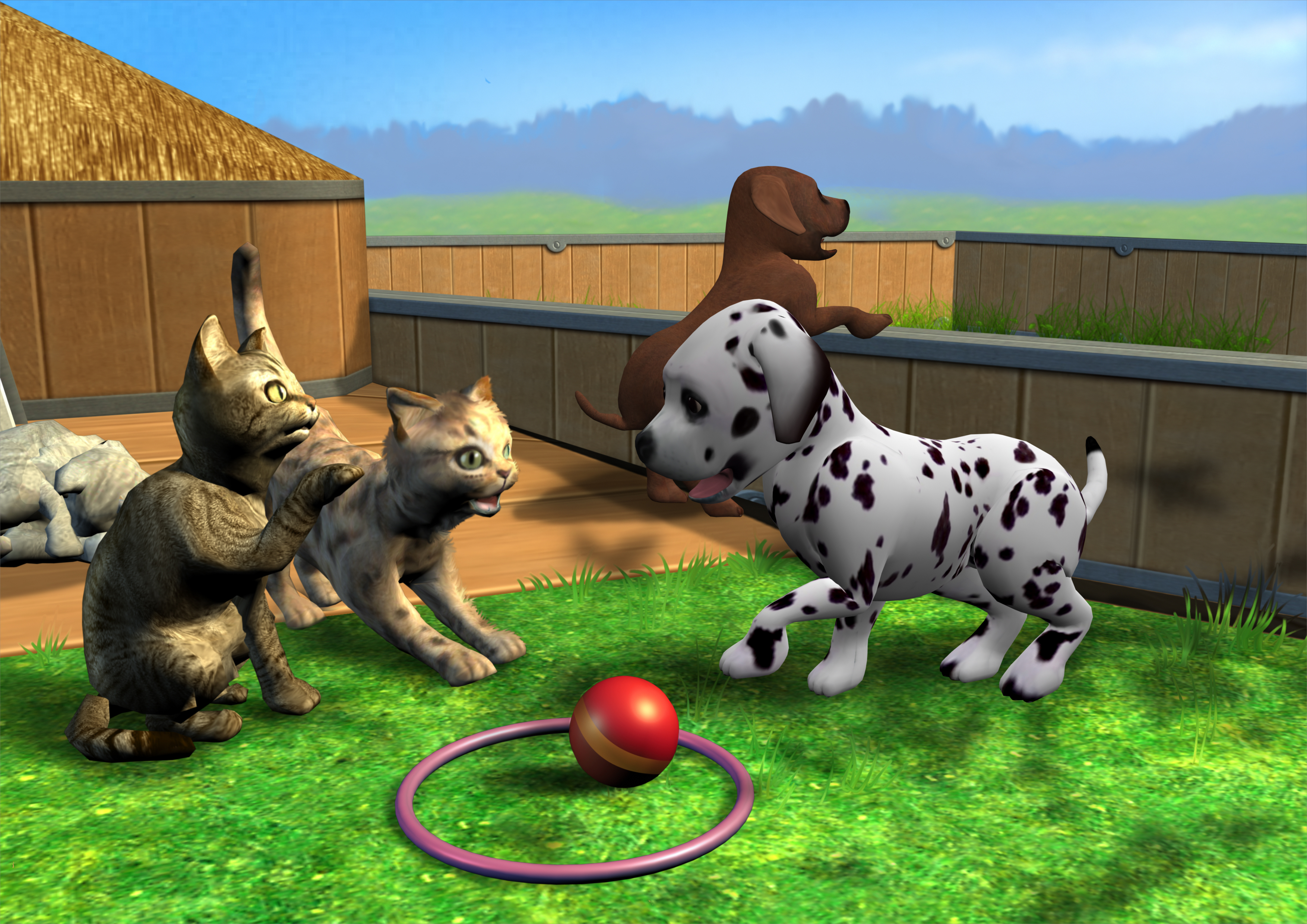 My Pet School 3D Review