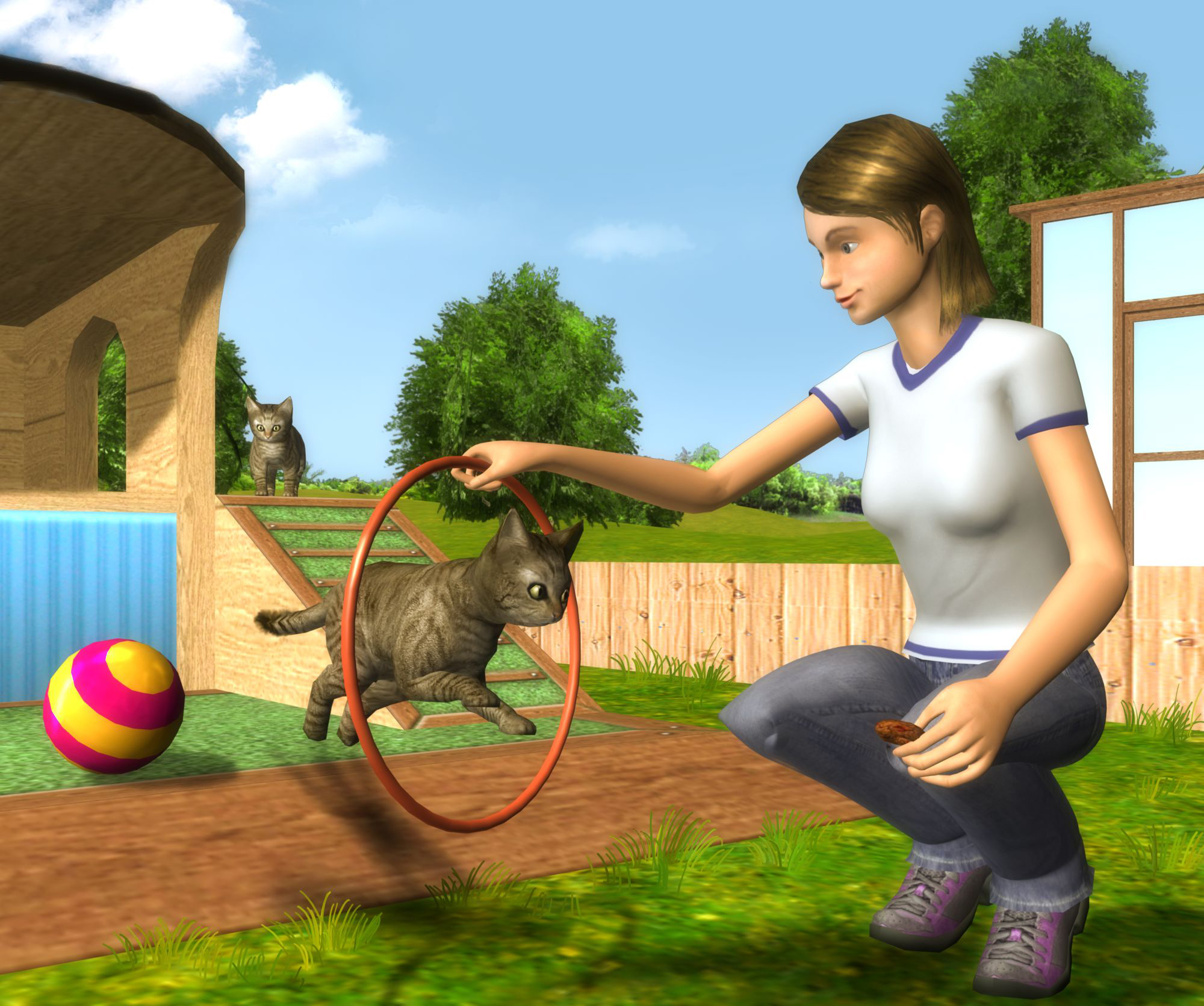 CTR-N_KPTE_PetSchool3D_BackgroundArt_3