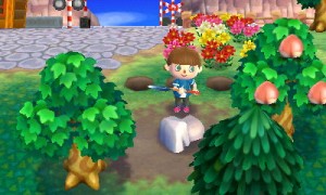 How to get more bells from rocks in Animal Crossing: New Leaf