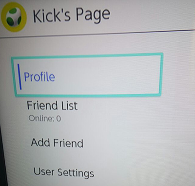 Nintendo Switch Profile Page
