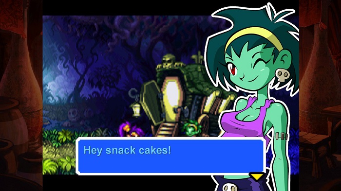 Art in Shantae: Risky's Revenge