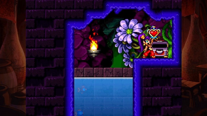 Replay Value in Shantae: Risky's Revenge