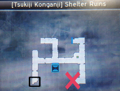 Shelter Ruins in Shin Megami Tensei IV: Apocalypse