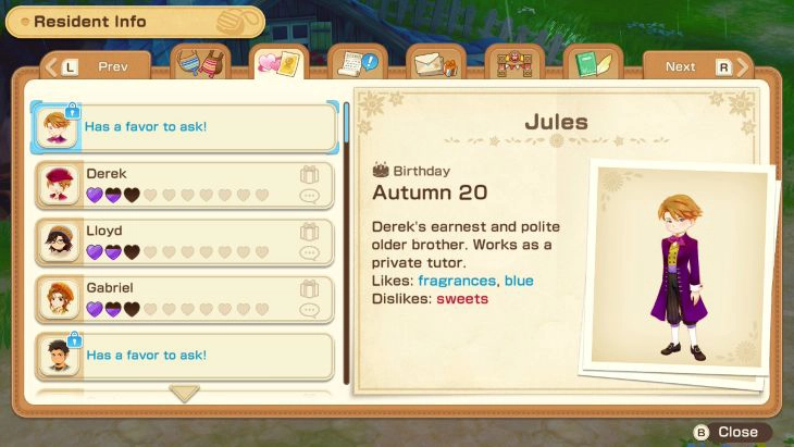 Friendship levels in Story of Seasons: Grand Bazaar