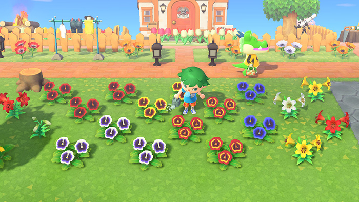 Watering flowers in Animal Crossing: New Horizons