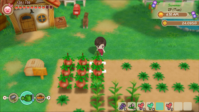 Watering crops in Story of Seasons: Friends of Mineral Town.