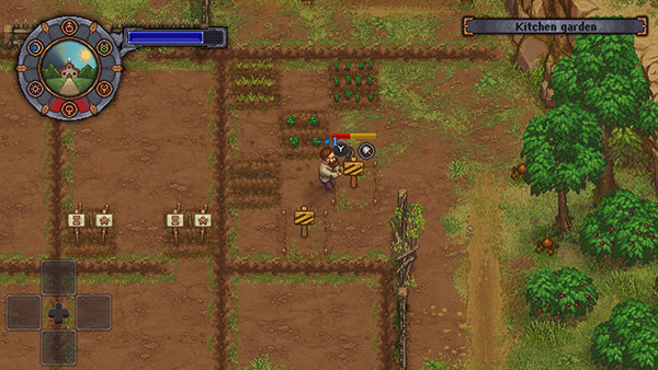 Growing crops in Graveyard Keeper