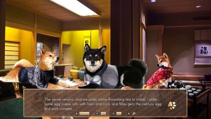 A Summer with the Shiba Inu Story Terms
