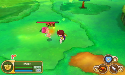 Combat in Fantasy Life